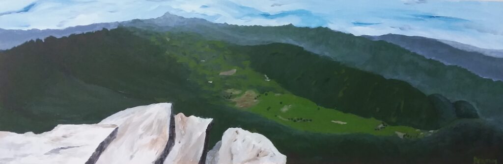 Landscapes