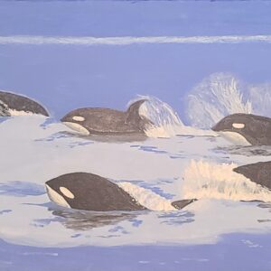 Orca Pod