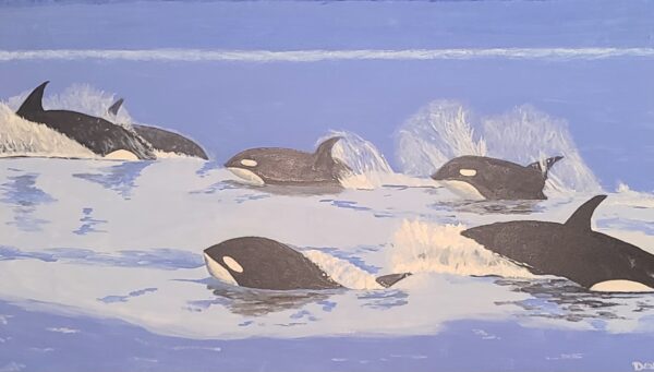 Orca Pod
